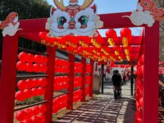 -同里国家湿地公园