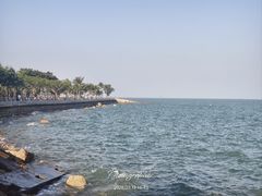 -野狸岛