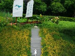 -三垟湿地