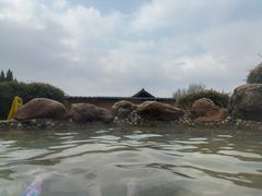 -崇阳三特浪口温泉