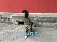 -北京市劳动人民文化宫(太庙)
