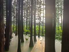 -云龙湖旅游景区