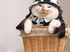 -BOPEYE·波派炸鸡(九霄天地店)