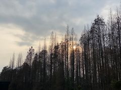 -同里国家湿地公园