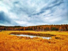 -塞罕坝国家级自然保护区