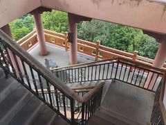 -大屏嶂森林公园
