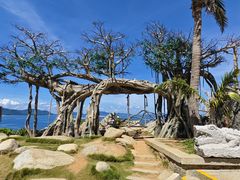 -海南分界洲岛旅游区