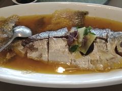 清蒸鲥鱼-圆苑(上海广场店)