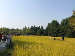 -北坞公园
