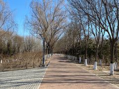 -大兴滨河森林公园