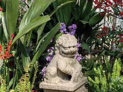 -上海醉白池公园