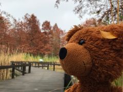 -梁鸿国家湿地公园