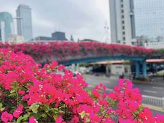 -潮福城大酒楼·潮味粤品·港式点心(湖滨北路店)