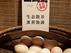 -田小狗的饭店(碧桂园店)