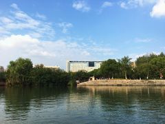 -青枫公园
