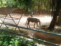 -广东茂名森林公园