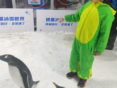 -郑州银基黄帝宫御温泉