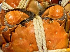 -阳澄湖大闸蟹·琼灵阁牌品牌连锁(吴中总店)