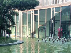 -上海崇明金茂凯悦酒店