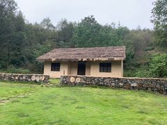 -千年银杏谷文化旅游区