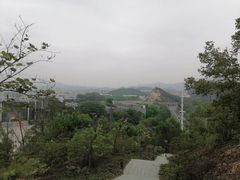 -东莞植物园