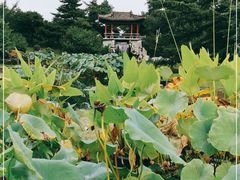 -国家植物园南园