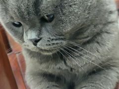 -万科·金域蓝湾