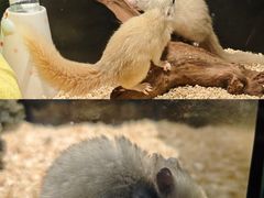 -太平洋海底世界