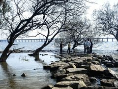 -宝安西湾红树林湿地公园