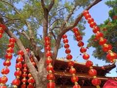 -深圳仙湖植物园