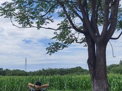 -汉长安城未央宫国家考古遗址公园