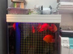 -方快-照相馆(莘庄沁春路店)