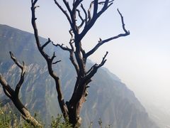 -神农山景区