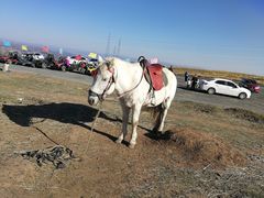 -塞罕坝国家级自然保护区