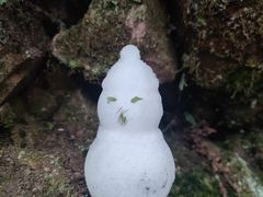 -西岭雪山大飞水景区