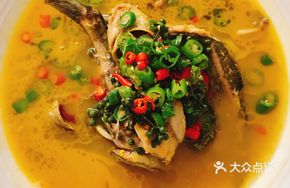 Golden Soup Yellow Catfish