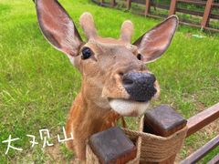 -良渚古城遗址公园