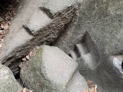 -六里坪国家森林公园