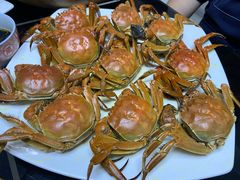 -众彩物流水产市场