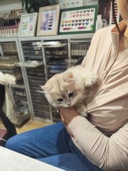 -简艺美甲美睫