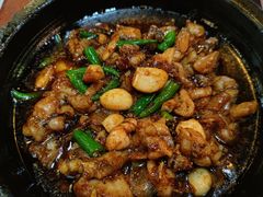 酱爆石锅蛙-绿茶餐厅(成都万象城店)