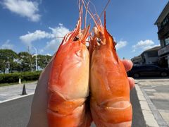 -阳澄湖半岛旅游度假区