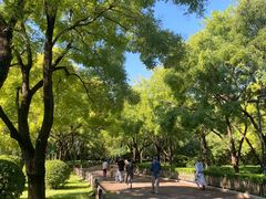 -莲花池公园