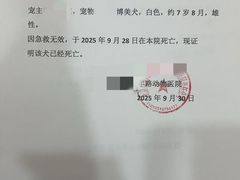 -美联众合动物医院·24h转诊中心