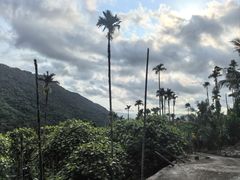 -海南热带雨林国家公园吊罗山景区