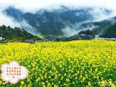 -婺源风景区