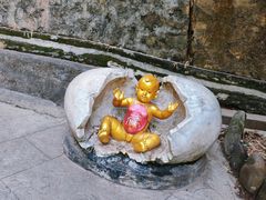 -西双版纳原始森林公园