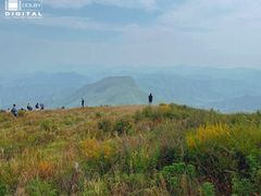 -白草畔自然风景区