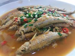 -全乐鱼馆·淳牌有机鱼直营店