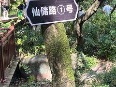 -杭州半山国家森林公园